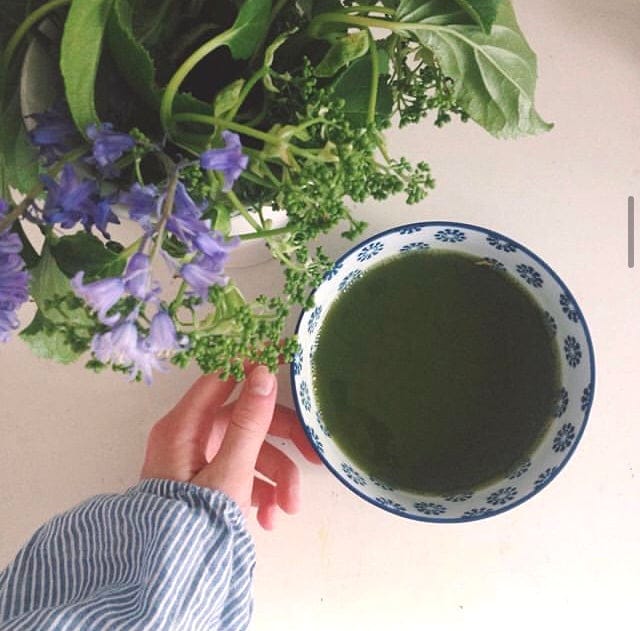 ØKOLIGISK MATCHA TE - Thebutikken Thrysøe