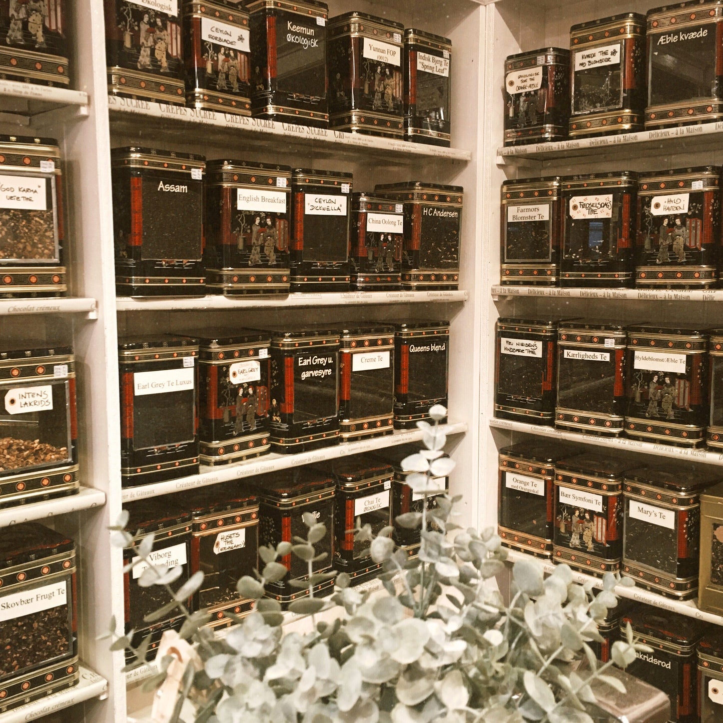 Rooibush Vanilje Te - Thebutikken Thrysøe