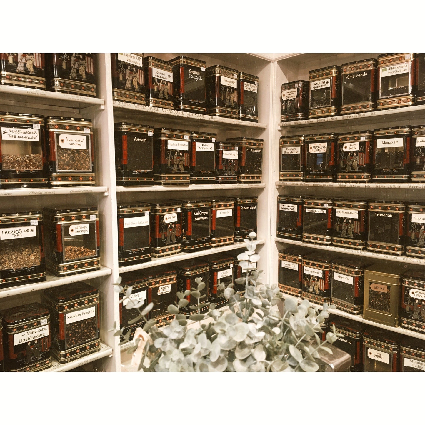 Sort Mango Te - Thebutikken Thrysøe